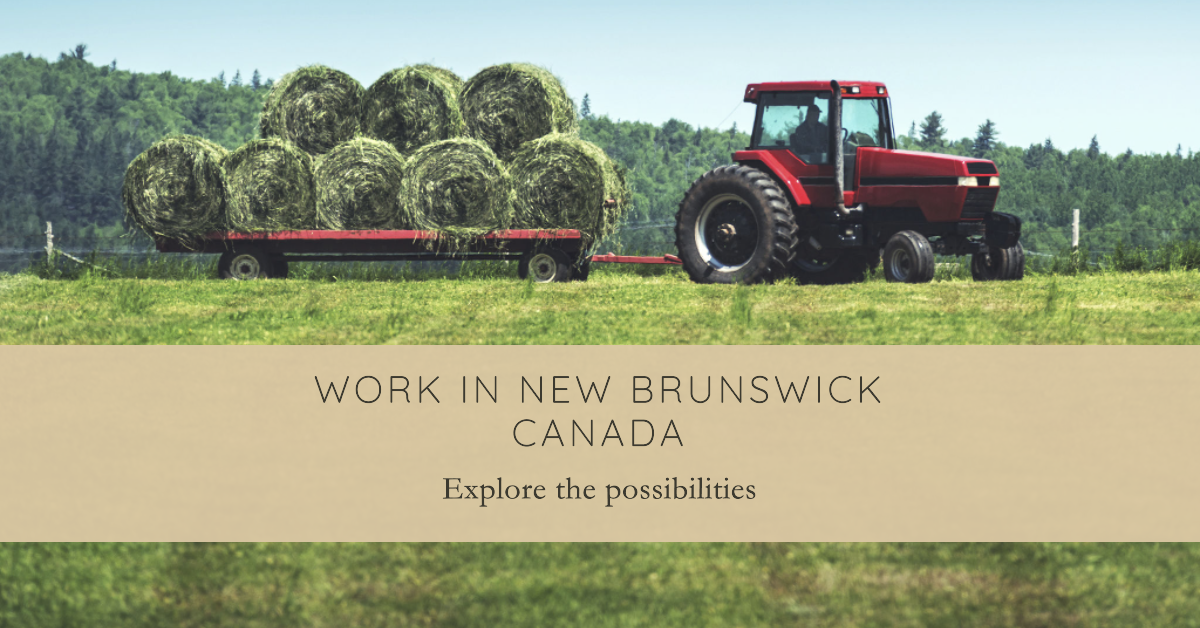 Trabajar en new Brunswick Canadá